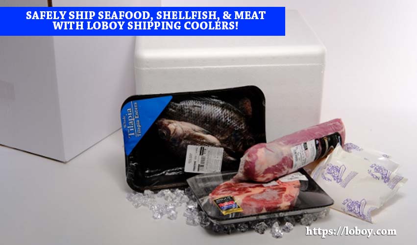 LoBoy 202 Foam Shipping Cooler 16-QT for Seafood Shellfish Meat and Medicine