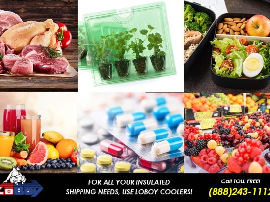 Shipping Perishables. Perishable Shipping Solutions - How to Ship Perishables