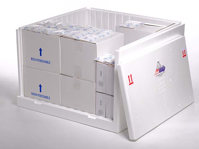 LoBoy-Gaylord-Size-Large-Styrofoam-Bulk-Shipping-Box-04.jpg