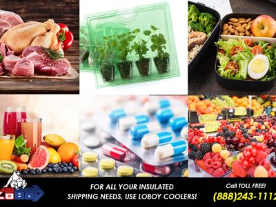Safely ship Food, Meat, Plants, Beverages, Medicine, Ready-to-Eat and Prepared Meals by Mail with LoBoy Styrofoam Coolers low-cost shipping boxes for meals, meat, seafood, medicine and more.
