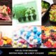 Safely ship Food, Meat, Plants, Beverages, Medicine, Ready-to-Eat and Prepared Meals by Mail with LoBoy Styrofoam Coolers low-cost shipping boxes for meals, meat, seafood, medicine and more.