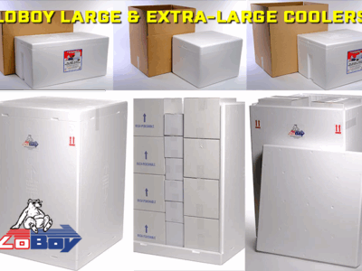 LoBoy Large Extra-large Styrofoam Coolers for Recreation and Business Shipping