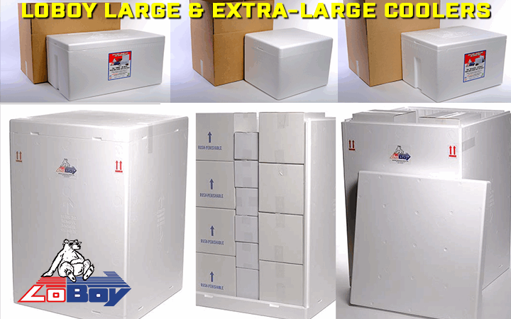 LoBoy Large Extra-large Styrofoam Coolers for Recreation and Business Shipping