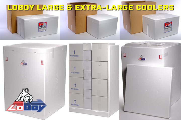 LoBoy Large Extra-large Styrofoam Coolers for Recreation and Business Shipping